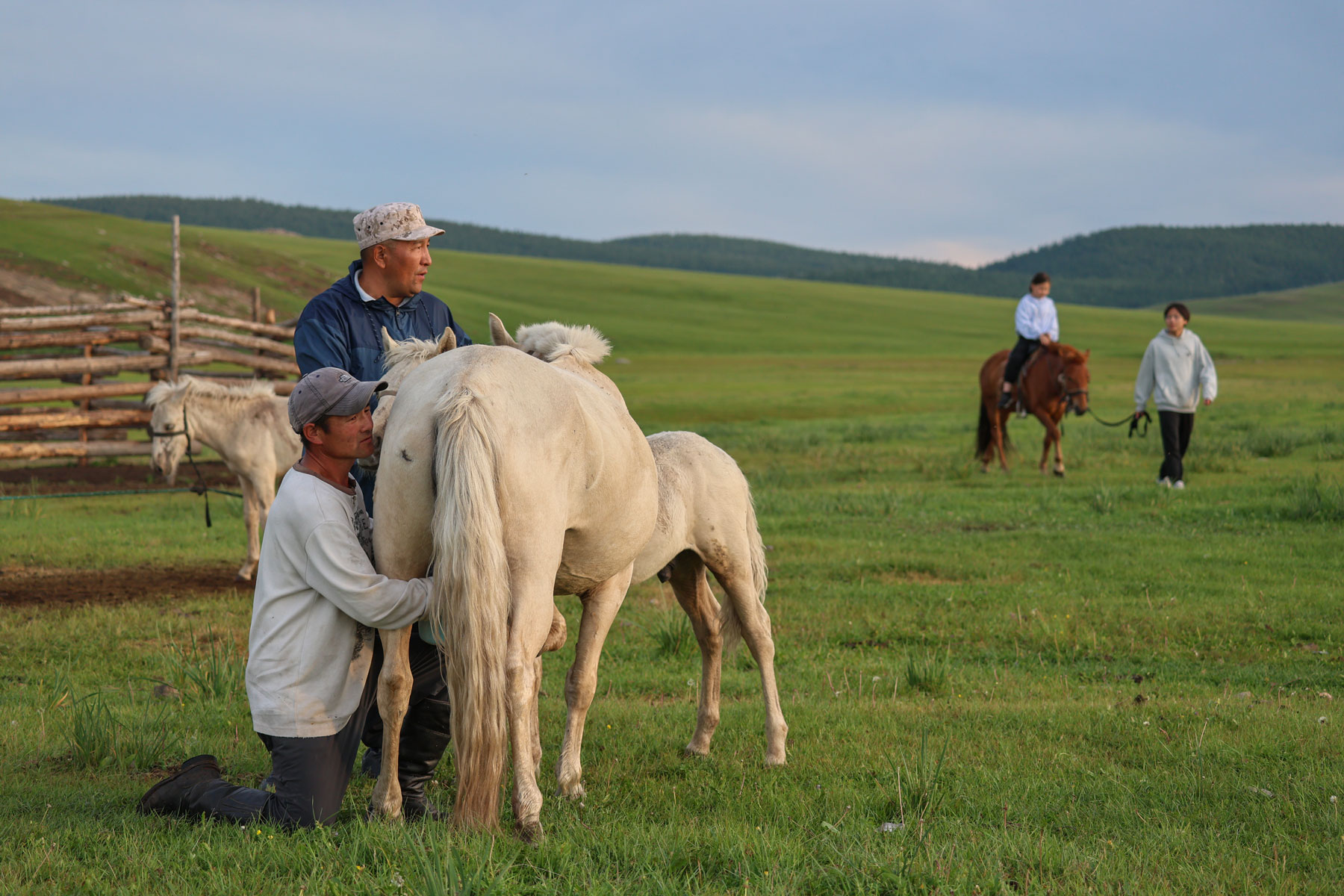 Ancient Nomads, Archaeology & Living Nomadic Culture