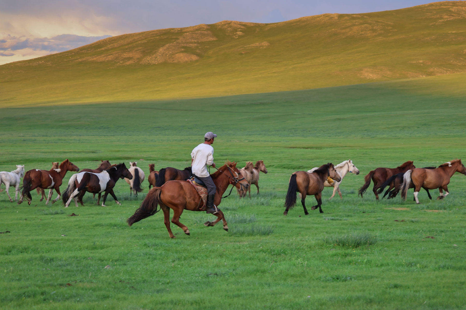 Ancient Nomads, Archaeology & Living Nomadic Culture